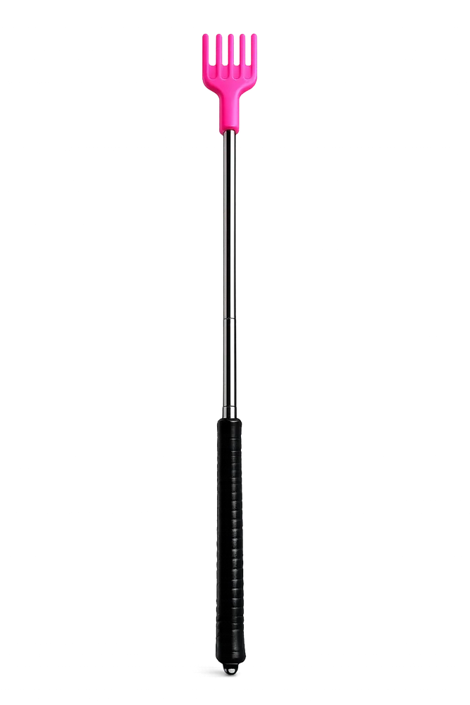 Back Scratcher, Random Color