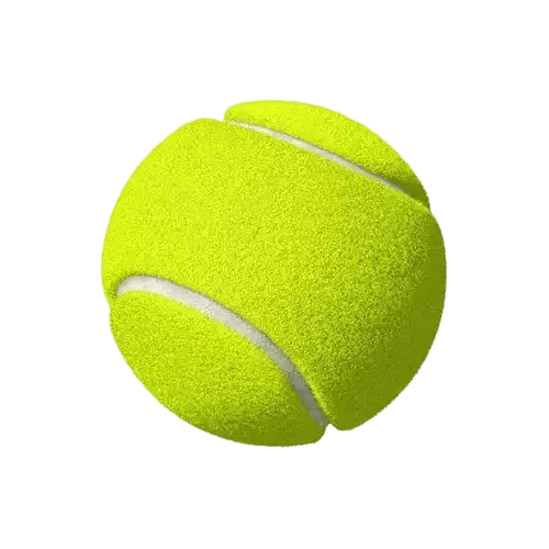 Professional Tennis/Cricket Ball Kirmich