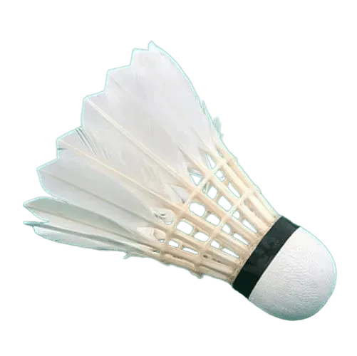 Professional Badminton shuttle, 1 piece